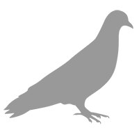 control de palomas