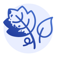 botritis.png